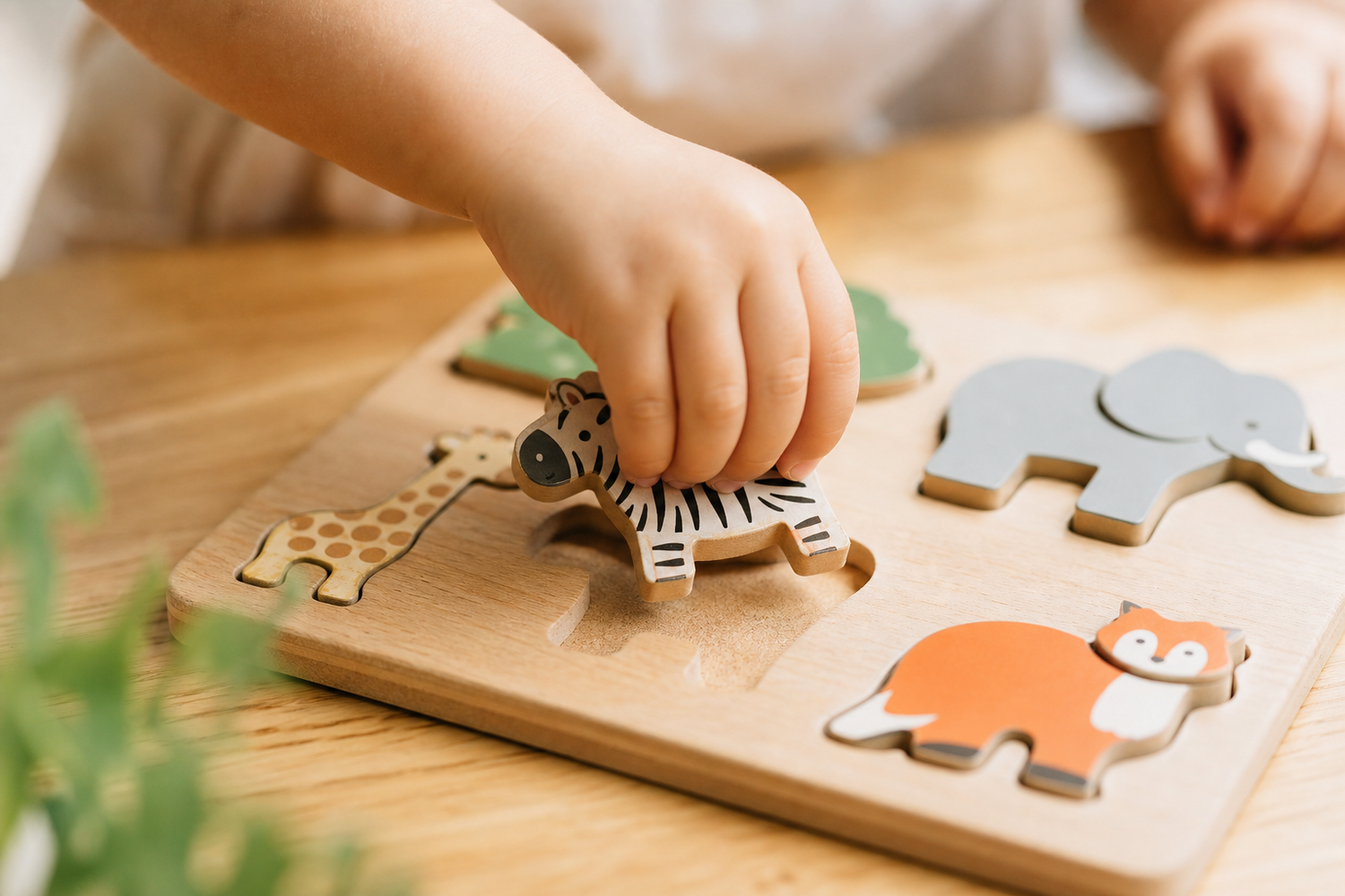 Fine Motor & Problem